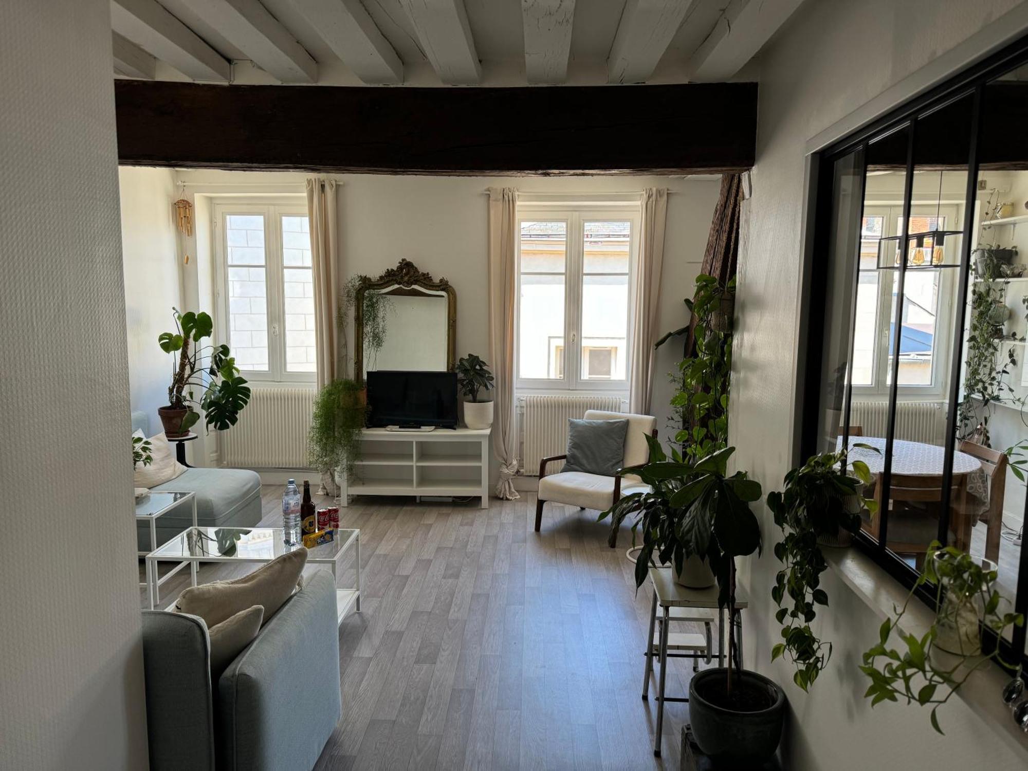 Appartement Central - אורליאן מראה חיצוני תמונה